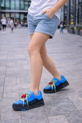 Louis Vuitton Trainer Maxi Skateboard Shoes Low-Top Blue